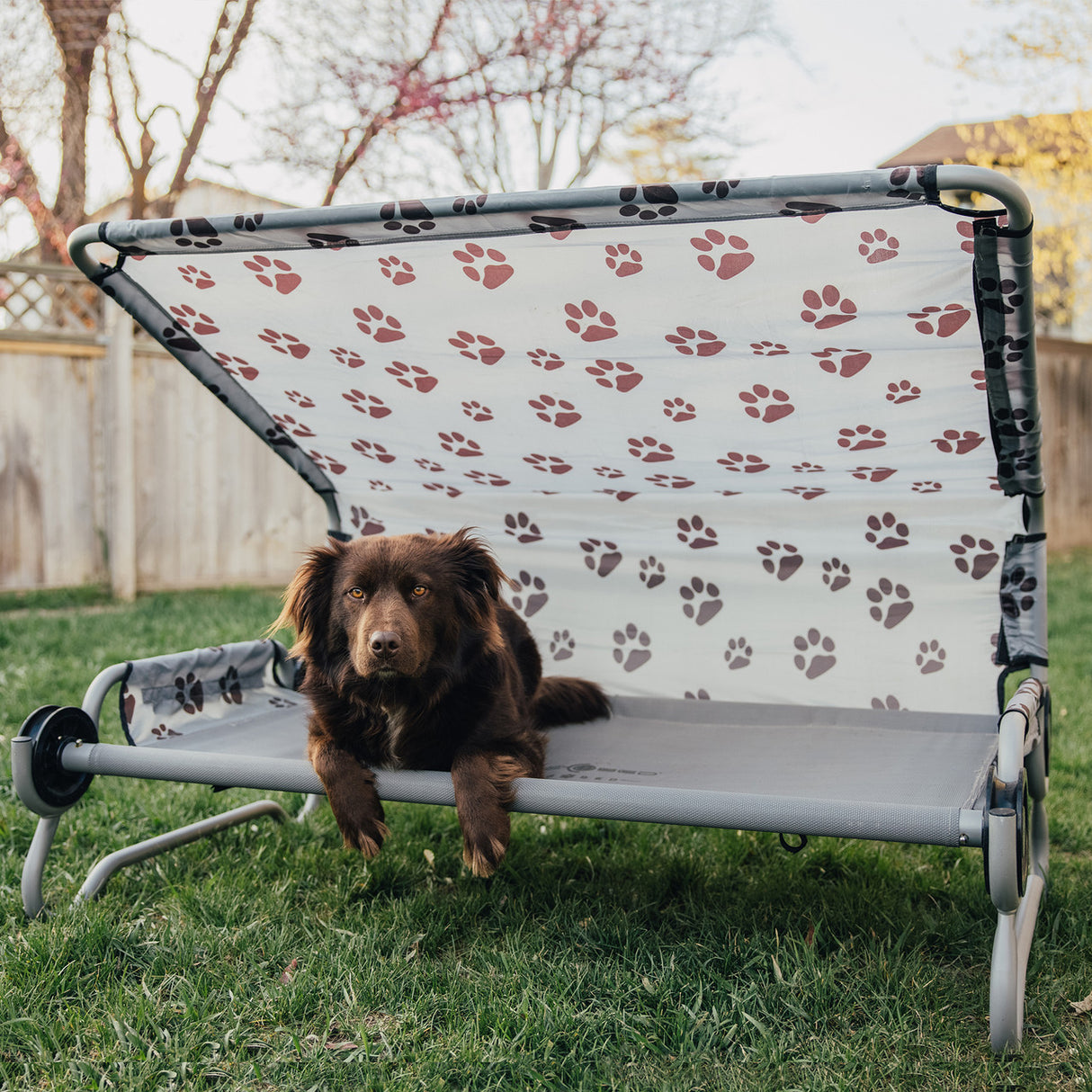 Disc-O-Bed Dog Bed